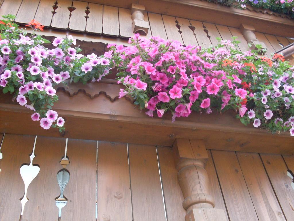 Appartement 3 Chambres avec Balcon et Terrasse
